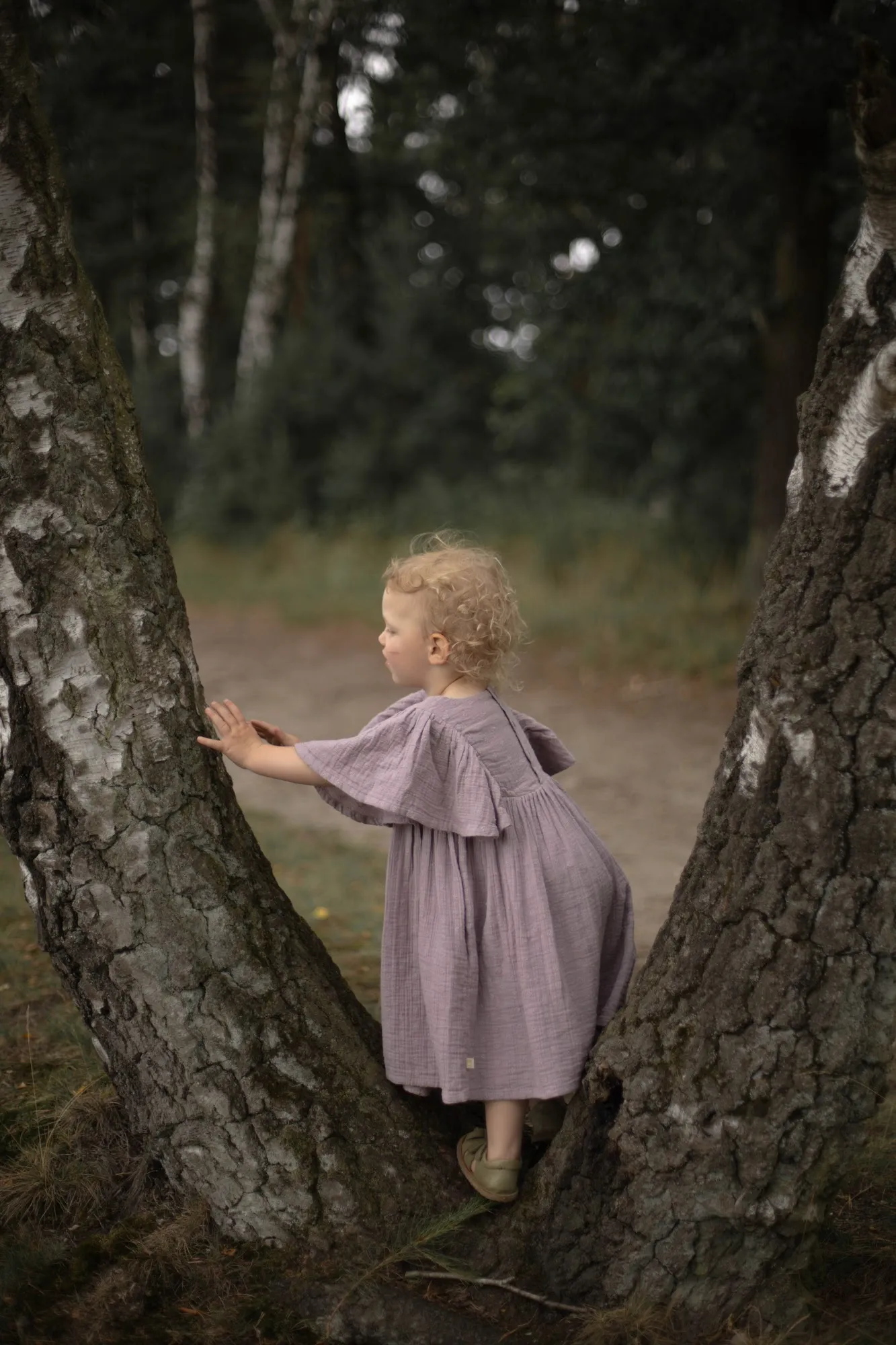 Kind klettert zwischen Birken im Wald